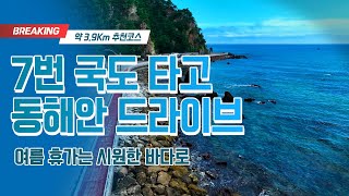 여름휴가 고민 끝! 강릉 헌화로부터 동해안 드라이브 🌊🚗