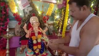 गणपतीला सफेद दूर्वा /Ganpatila safed durva #ganpati #durva