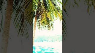 SO GOOD MUSIC MIX ON THIS CHANNEL | CHILL OUT MUSIC 🎵 CHILL SUMMER MUSIC #outmusic, #summer, #chill