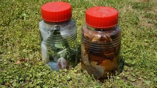 ハーブガーデン紹介６月ハーブを使った虫よけ対策-Insect Repellant Herb-～自然のハーバルライフ～-HERB-Japanese Herb Garden