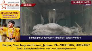 Samba police rescues 12 bovines, seizes vehicle