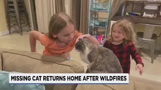 Arizona cat reunited with family after being lost in Oregon for several months