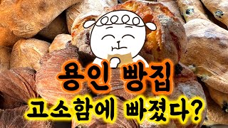 이렇게 맛있을 수 있을까? 고소함에 푹 빠진 용인 빵집 여행! | 빵먹방, 빵지순례 | 빵 먹는 개띠랑의 백빵기행 ep.120🥐