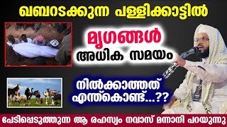 മൃഗങ്ങൾ അധിക സമയം ഖബറടക്കുന്ന പള്ളിക്കാട്ടിൽ നിൽക്കാത്തത് എന്ത്കൊണ്ട്..? Kummanam usthad