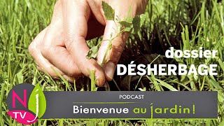 DÉSHERBAGE : CONSEILS PRATIQUES DE NOS EXPERTS POUR LE RÉALISER EFFICACEMENT ET DE MANIÈRE RAISONNÉE