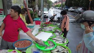 下雨天 遇水則發 阿源說有三台遊覽車要來#Taiwan seafood auction