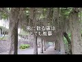 【外出】群馬県 藤岡市「ふじの咲く丘」ふじまつり