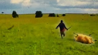 Face-to-Face with a Lion! Maasai Warrior Risks All to Save His Cow 🦁💪