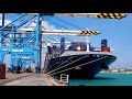 9,000 Moves Handled on CMA CGM Calcutta at Malta Freeport Terminals