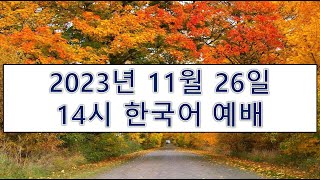 【横浜キリスト教会】2023.11.26　韓国語礼拝