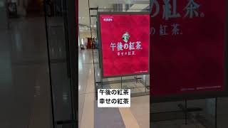 【函館空港⑧】JAL側チェックインカウンター前 取材拒否 全店制覇午後の紅茶 幸せの紅茶 空港で深夜大量に食べてみた 0411