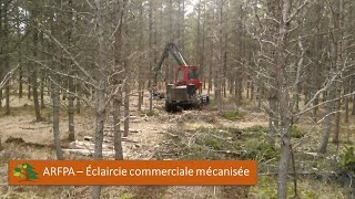 ARFPA - Éclaircie commerciale mécanisée