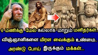 6 மணிக்கு மேல் கல்லாக மாறும் மனிதர்கள் !விஞ்ஞானிகளை மிரள வைத்த உண்மை ! அரண்டு போய் இருக்கும் மக்கள்!