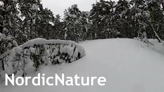 Skinbased backcountry skiing, snow covered rocky terrain, Nordic winter