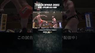 新日本プロレス『WORLD TAG LEAGUE 2024』(11.19) TMDK対WAR DOGS 両者一歩も譲らない攻防 #shorts