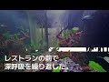 【スカッとする話】12年間社内恋愛した夫との結婚式当日→夫と同期99人がムービーでドタキャン…夫「参列者ゼロで楽しんでる w」私「お父さん、ごめんね…」キレた父「100人全員解雇」【修羅場】