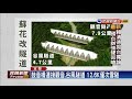 蘇花改鼓音橋串聯兩隧道 12.6k全台第二長－民視新聞