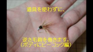 テンカラ 逆さ毛鉤 道具を使わない毛鉤の巻き方（ボディにピーコック編）