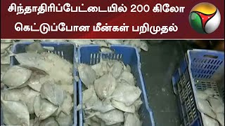 சிந்தாதிரிப்பேட்டையில் 200 கிலோ கெட்டுப்போன மீன்கள் பறிமுதல்