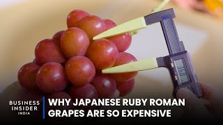 Why Japanese Ruby Roman Grapes Are So Expensive