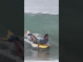 love peace surf ただかっこいいボディボード動画と良い感じのbgm just cool bodyboarding video and music shorts