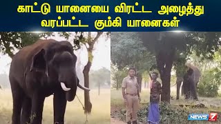 காட்டு யானையை விரட்ட அழைத்து வரப்பட்ட கும்கி யானைகள் | Elephants