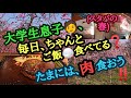 大学生息子🧑、毎日ちゃんと、ご飯🍚食べてる❓️たまには、肉食おう‼️(スタバの春)