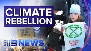 Extinction Rebellion shuts down Brisbane CBD | Nine News Australia