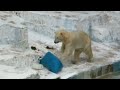 ホウちゃん 救急救命士になれる⁈ イッちゃん at 天王寺動物園