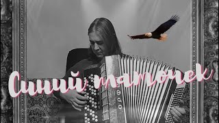 Синий платочек - Красивая мелодия на баяне - Beautiful melody on the accordion