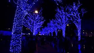 渋谷　青の洞窟2018　Blue Illumination