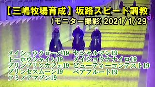 屋内坂路調教（モニター撮影） 2021年1月29日