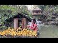 Raising ducks in the rainforest and how a girl develops a life alone