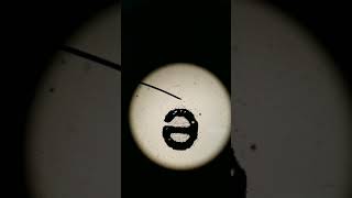 Letter e