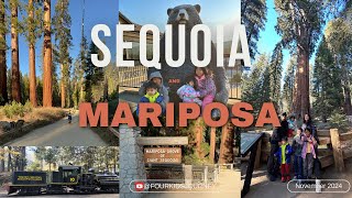 Sequoia National Park and Mariposa | FALL 2024