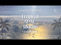 United Culture's World - Tropical APAC Riddim (Lo-Fi Beats)