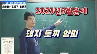 [2023년신년운세]2023년3월 신살활용 간단 띠별 운세(돼지 토끼 양띠)