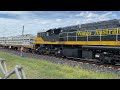 watco australia wrb2177 coupled up the cattle wagons.