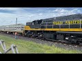 watco australia wrb2177 coupled up the cattle wagons.