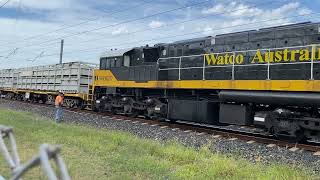 Watco Australia WRB2177 coupled up the cattle wagons.