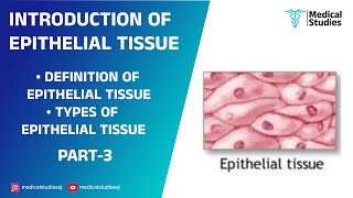 Epithelial Tissue | Structure \u0026 Function | @Medical Studies | @medicalstudiesaj