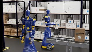 Two WorkFar Syntro Humanoid Robots Operating in a Warehouse