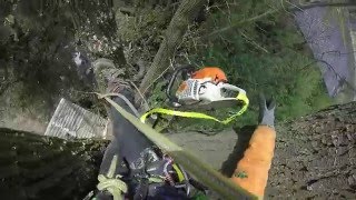 Tree Work ,ścinka drzew , stihl 261 , stihl 361 ,stihl 441