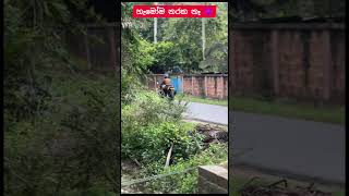 හොඳ ‍පොලිස් මාමලත් ඉන්නවා ❤️💪 #bikelover #highcapacity #srilanka