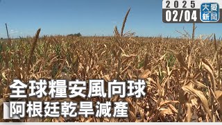 全球糧安風向球 阿根廷乾旱減產｜大愛新聞   @DaaiWorldNews