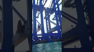 Massive RMG Cargo Crane in Action! 🚢 Port Operations Up Close #cargoship #shipping