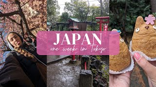 Tokyo Japan Vlog - Disney, Pokemon, Mt Fuji & More