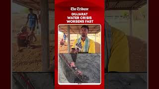 Gujarat Water Crisis Deepens | Valsad Residents Risk Lives Fetching Water From Wells