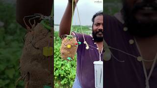 💥புது  தூண்டில் 💥|spider ball set| carp fishing| #fishing #shorts