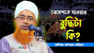 বেহেশতে যাওয়ার বুদ্ধিটা কি? || কলিজা কাঁপানো নছিহত Allama Khurshid Alam Kasemi || New Waz 2022